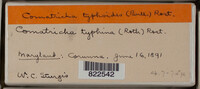 Image Associated With the Occurence